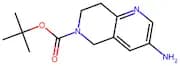tert-Butyl 3-amino-7,8-dihydro-1,6-naphthyridine-6(5H)-carboxylate