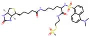 (N-Dansyl)biocytinamidoethyl methanethiosulphonate [MTS-DB]