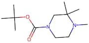 tert-Butyl 3,3,4-trimethylpiperazine-1-carboxylate