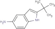 5-Amino-2-(tert-butyl)-1H-indole