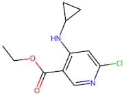 Ethyl 6-chloro-4-(cyclopropylamino)nicotinate