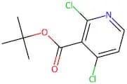 Tert-butyl 2,4-dichloronicotinate