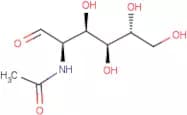 2-Acetamido-2-deoxy-D-glucose