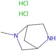 2-Methyl-2,5-diazabicyclo[2.2.1]heptanedihydrochloride