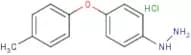 [4-(4-Methylphenoxy)phenyl]hydrazine hydrochloride