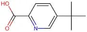 5-(tert-Butyl)picolinic acid