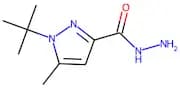 1-tert-Butyl-5-methyl-1H-pyrazole-3-carbohydrazide