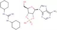 Adenosine-2',3'-cyclic phosphate, dicyclohexyl guanidinium salt