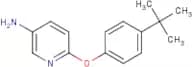 6-[4-(tert-Butyl)phenoxy]pyridin-3-amine