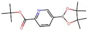 tert-Butyl 5-(4,4,5,5-tetramethyl-1,3,2-dioxaborolan-2-yl)picolinate