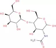 N-Acetyllactosamine