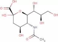 N-Acetylneuraminic acid