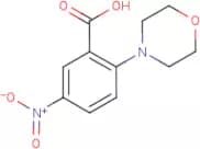 2-Morpholin-4-yl-5-nitrobenzoic acid
