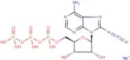 8-Azidoadenosine-5'-triphosphate, sodium salt