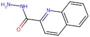 Quinoline-2-carbohydrazide