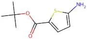 tert-Butyl 5-aminothiophene-2-carboxylate