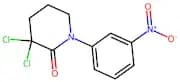 3,3-dichloro-1-(3-nitrophenyl)piperidin-2-one