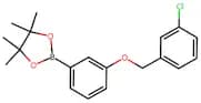 2-(3-((3-Chlorobenzyl)oxy)phenyl)-4,4,5,5-tetramethyl-1,3,2-dioxaborolane