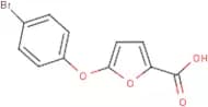 5-(4-Bromophenoxy)-2-furoic acid
