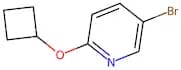 5-Bromo-2-cyclobutoxypyridine