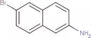 2-Amino-6-bromonaphthalene