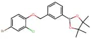 2-(3-((4-Bromo-2-chlorophenoxy)methyl)phenyl)-4,4,5,5-tetramethyl-1,3,2-dioxaborolane