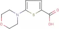 5-(Morpholin-4-yl)thiophene-2-carboxylic acid