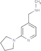 N-Methyl-1-(2-pyrrolidin-1-ylpyridin-4-yl)methylamine