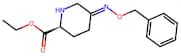 (S,E)-ethyl 5-((benzyloxy)imino)piperidine-2-carboxylate