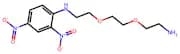 N-(2-(2-(2-Aminoethoxy)ethoxy)ethyl)-2,4-dinitroaniline