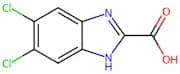5,6-Dichloro-1H-benzimidazole-2-carboxylic acid