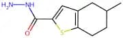 5-Methyl-4,5,6,7-tetrahydro-1-benzothiophene-2-carbohydrazide