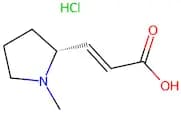 (R,E)-3-(1-Methylpyrrolidin-2-yl)acrylic acid hydrochloride
