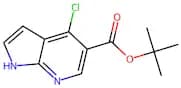 tert-butyl 4-chloro-1H-pyrrolo[2,3-b]pyridine-5-carboxylate