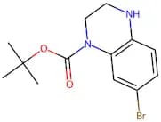 tert-Butyl 7-bromo-3,4-dihydroquinoxaline-1(2H)-carboxylate