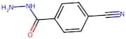 4-Cyanobenzohydrazide