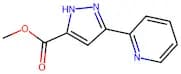 Methyl 3-(pyridin-2-yl)-1H-pyrazole-5-carboxylate