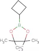 2-Cyclobutyl-4,4,5,5-tetramethyl-1,3,2-dioxaborolane