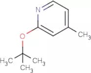 2-tert-Butoxy-p-picoline