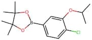 2-(4-Chloro-3-isopropoxyphenyl)-4,4,5,5-tetramethyl-1,3,2-dioxaborolane