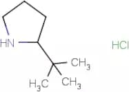 2-tert-Butylpyrrolidine hydrochloride