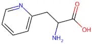 2-Amino-3-(pyridin-2-yl)propionic acid