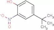 4-tert-Butyl-2-nitrophenol