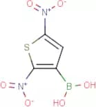 2,5-Dinitrothiophene-3-boronic acid