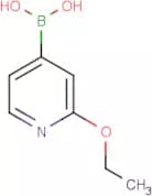 2-Ethoxypyridine-4-boronic acid