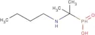 [1-(Butylamino)-1-methyl-ethyl]phosphinic acid