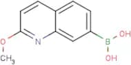 2-Methoxyquinoline-7-boronic acid