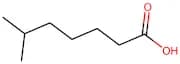 6-Methylheptanoic acid