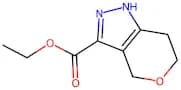 Ethyl 1,4,6,7-tetrahydropyrano[4,3-c]pyrazole-3-carboxylate
