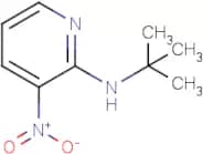 N-tert-Butyl-3-nitropyridin-2-amine